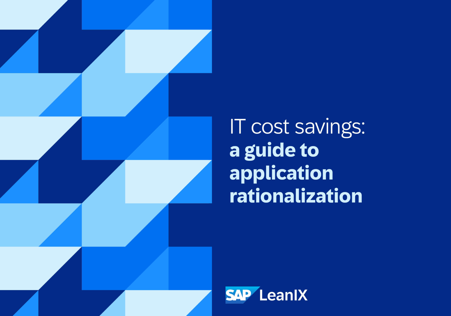 Application Rationalization - The Definitive Guide | LeanIX